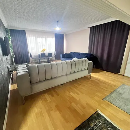 Mirena Ankara