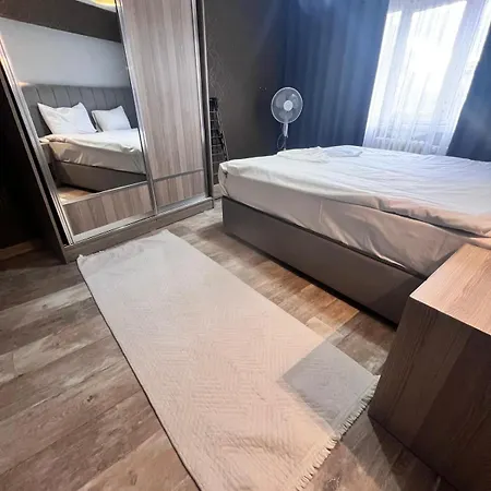 Mirena Ankara